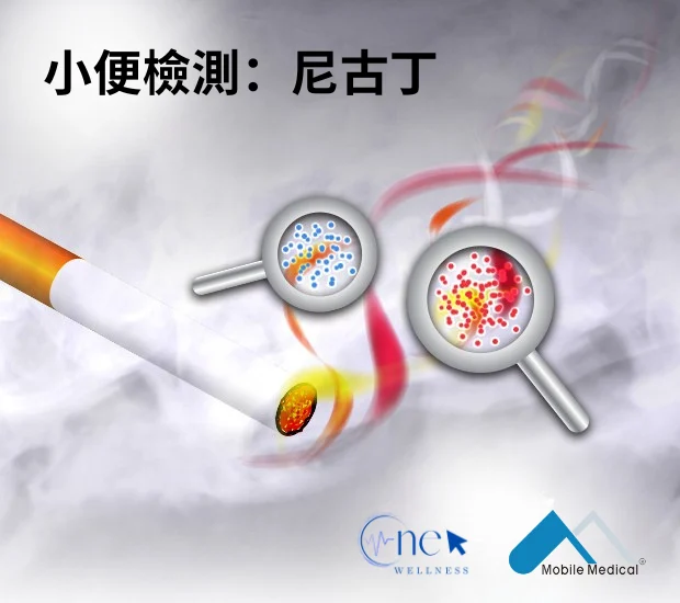 小便檢測:尼古丁